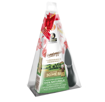 PARMIGIANO REGGIANO 30 MESI 500G CON COLTELLINO DESIGN
